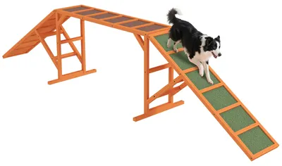 Image de PawHut - Passerelle d'agilité pour chiens - Équipement d'agilité pour chiens avec barre de sécurité