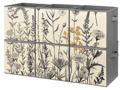Imagen del producto de Cajas de almacenamiento con grabados botánicos para organizar