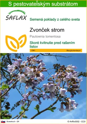Produktbild von SAFLAX - zvonček strom - Paulownia tomentosa - 200 Semená - S pestovateľským substrátom bez klíčkov