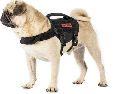 Produktbild von Unyqoos® Beast Mojo Hundegeschirr – taktisches, verstellbares Welpen- & Kleinhund-Geschirr aus 1000D Nylon, schwarz, XS, fleecegepolsterte Brust, Molle, UTX-Duraflex