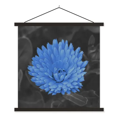 Produktbild von MuchoWow® Textilposter Blumen - Schwarz - Weiß - Blau 60x60 cm mit schwarzem Rahmen - Posteraufhänger