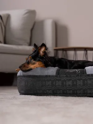 Produktbild von TrendPet LunaLounge Hundebett grau (66x56x18cm)