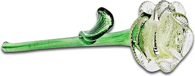 Produktbild von Rose Glow (23-25 cm)
