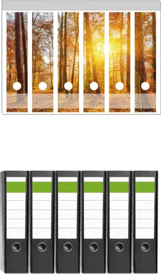 Produktbild von Wallario 6 Stück breite Ordner inkl. Klebeetiketten mit Motive Sonnenuntergang im herbstlichen Wald -  Set mit Rückenschildern / Ordnerrücken Stickern