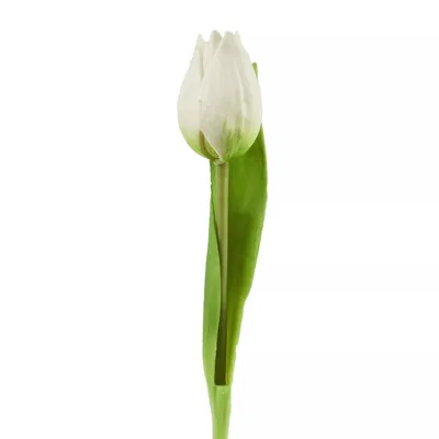 Produktbild von 6x Tulpen künstlich mini L19cm Real Touch Kunstblumen weiss Frühling Deko