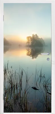 Produktbild von MuchoWow® Türtapete Selbstklebende Türfolie Ruhiger Morgen im Wald von Norwegen 90x215 cm Türposter Türaufkleber Klebefolie Türklebefolie - Plakat an der Tür - Türsticker - Aufklebern