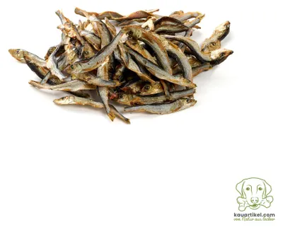 Produktbild von Ostsee-Sprotte 100g