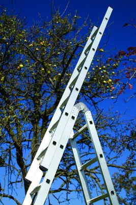 Produktbild von WAKÜ Aufsteckteil mit 7 Sprossen für Teleskopleitern