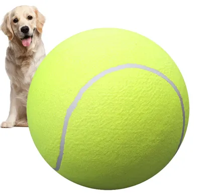 Productafbeelding van Interactieve Tennisballen voor Honden