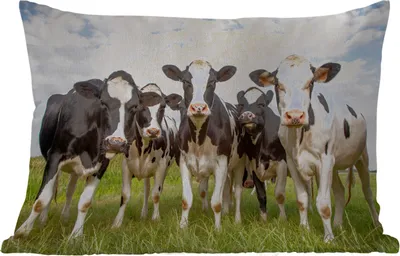 Produktbild von MuchoWow® Outdoor Kissen - Kühe - Weide - Tiere - Natur - Gras - 60x40 cm - Wetterfest - Lounge Kissen - Zierkissen - Kissen für Innenräume