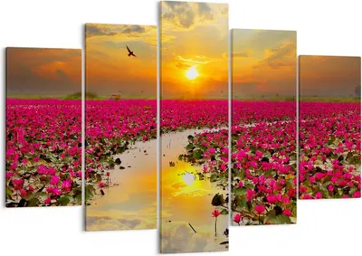 Produktbild von Bild auf Leinwand - Leinwandbild - See Blumen - 150x100cm - Wand Bild - Wanddeko - Wandbilder - Leinwanddruck - Bilder - Kunstdruck - Wanddekoration - Leinwand bilder - Wandkunst - EA150x100-3769
