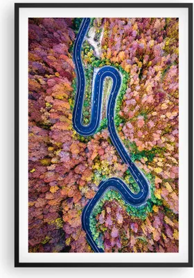 Produktbild von Gerahmtes Poster - Schwarzer Rahmen - Kurvenreich Weg Wald - 61x91,5 cm - Wand Bild - Wanddeko - Wandbilder - Kunstposter - Wandposter - Bilderrahmen - Bilder - Kunstdruck - Wandbild - P2BPA61x91-4291