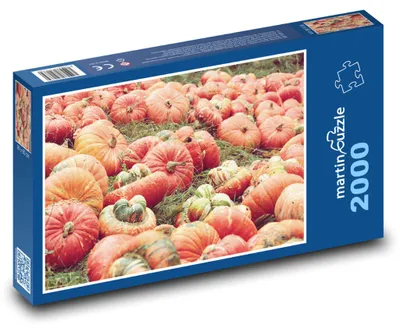 Zdjęcie produktu dla Puzzle 2000 Dynie - czas zbiorów - martinpuzzle