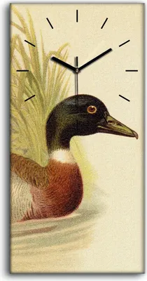 Produktbild von Dekor Leinwand Uhr Wandbilder 30x60 Gemälde Abstraktes Wasser Tiere Enten Natur - schwarze Hände