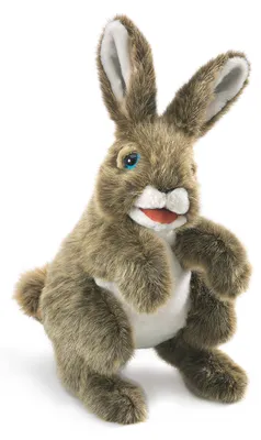 Produktbild von Folkmanis Hare, Handpuppe, Tier, 1 Stück(e)
