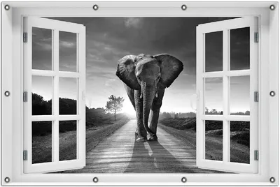 Produktbild von Wallario Outdoor-Poster für Garten oder Balkon 100 x 150 cm: Elefant bei Sonnenaufgang in Afrika schwarzweiß