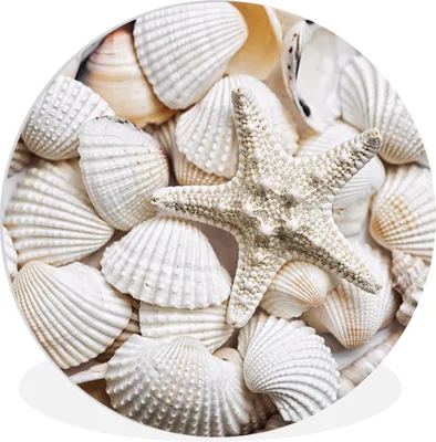 Produktbild von MuchoWow® Rundes Wandbild - Runde Bilder Muscheln - Seesterne - Strand Ø 90 cm Kreis Wanddekoration Kunststoff - Wandkreis - Wandschmuck - Wand-Kreis - Wohnzimmer - Bild - Runde - Wanddeko - Dibond - Kunstdrucke