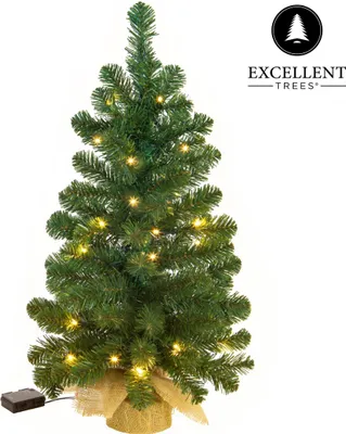 A small artificial Christmas tree with lights.