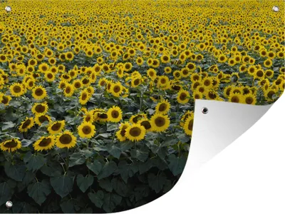 Produktbild von MuchoWow®