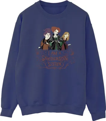 Produktbild von Disney - "Hocus Pocus Sanderson Sister" Sweatshirt für Herren BI20554 (M) (Marineblau)