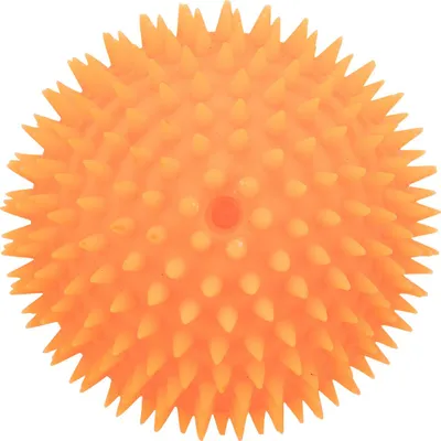 Produktbild von TRIXIE Igelball Hundespielzeug, Hund, Kugellager, Vinyl, Kauend, 10 cm
