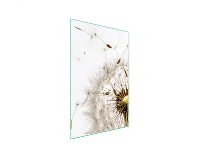 Produktbild von Glasschneidebrett 35x52 Blume