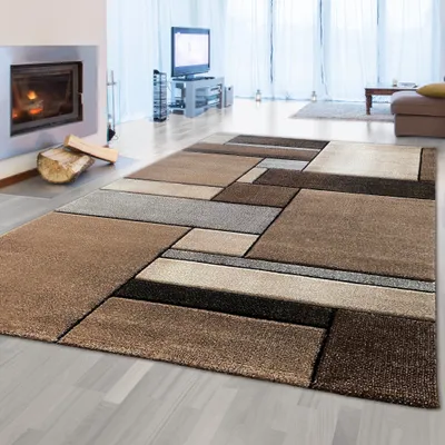 A living room with a fireplace, television, and a modern rug.