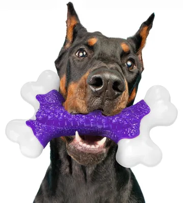 Image de Jouets à mâcher résistants pour chiens de grandes et moyennes races, adaptés aux chiens qui mordillent avec force, jouet en forme d'os