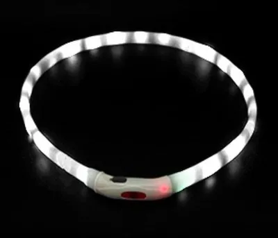 Produktbild von LED Hundehalsband Leuchtring – Leuchthalsband Hund für Sichtbarkeit & Sicherheit bei Dunkelheit weiß - Größe L