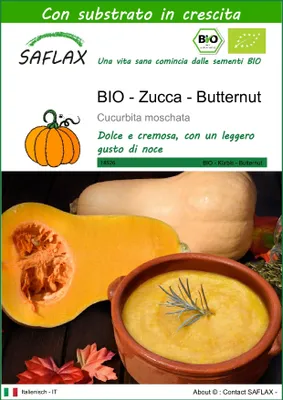 Immagine prodotto di SAFLAX  -- Zucca - Butternut - 6 semi - Con substrato - Cucurbita