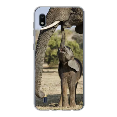 Produktbild von MuchoWow® Handyhülle Schutzhülle Hülle für Samsung Galaxy A10 Elefant - Tiere - Gras - Natur Silikon Softcase Handy Hülle - Schutzhülle