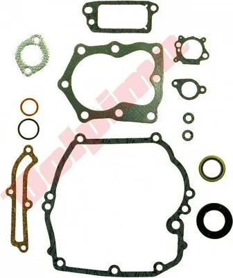 Immagine prodotto di Guarnizioni per Briggs & Stratton 14 Quantum ( 493263 , 496117 , 497316 )