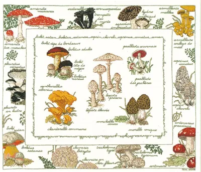 Produktbild von Le Bonheur des Dames Kreuzstich Set "Pilze", Zählmuster, 54x46cm