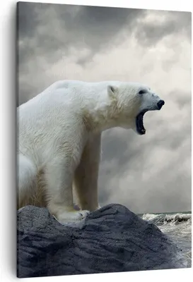 Produktbild von Bild auf Leinwand - Leinwandbild - Einteilig - Bär Tiere Wasser Eis - 50x70cm - Wand Bild - Wanddeko - Wandbilder - Leinwanddruck - Wanddekoration - Leinwand bilder - Wandbild - PA50x70-2451