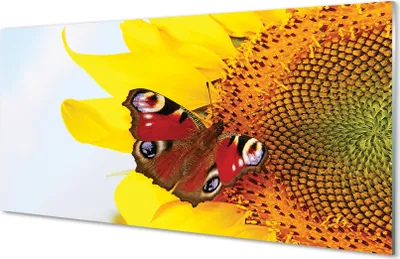 Produktbild von Glasbilder 100x50 Wandkunst Sonnenblume Schmetterling