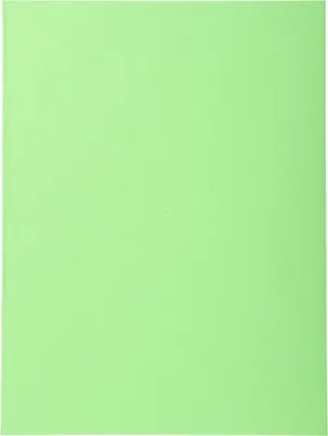 Produktbild von Exacompta 5x 100er Aktendeckel Recycling 24x32cm - Intensivgrün - 420013E