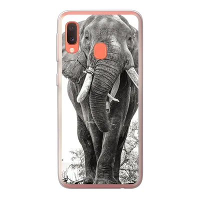 Produktbild von MuchoWow® Handyhülle Schutzhülle Hülle für Samsung Galaxy A20e Elefant - Porträt - Tiere - Schwarz und weiß Silikon Softcase Handy Hülle - Abdeckung