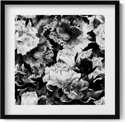 Produktbild von Schwarze und weiße Pfingstrosenblüten– Wandbild mit Rahmen – Gerahmtes Bild  – Wanddekoration – 50x50 cm –  Schwarz Rahmen