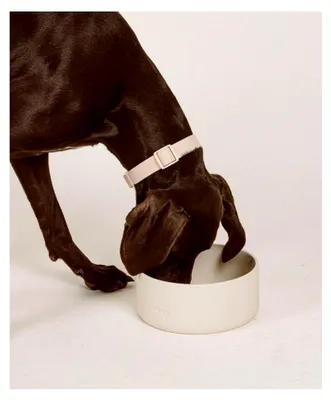 Produktbild von Keramischer Hundenapf, glasierter Napf aus Keramik, Fressnapf für Hunde, verschiedene Größen, geeignet für kleine und große Hunde (Desert, L)