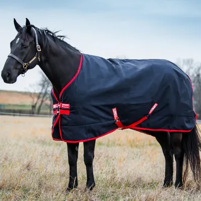 Produktbild von Horseware Rambo Original Turnout Medium 200g - Navy/Red, 155