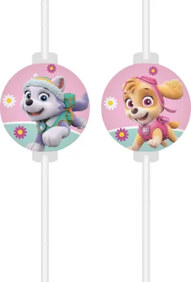 Zdjęcie produktu dla do napojów Paw Patrol z medalionem 4 sztuki