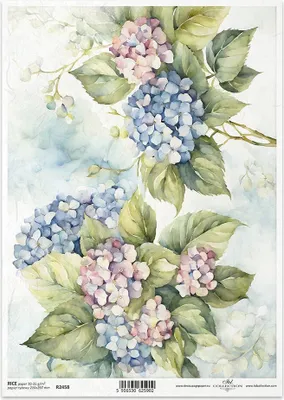 Immagine prodotto di ITD carta di riso decoupage tecnica artigianale tovagliolo di carta-R2458 ortensie