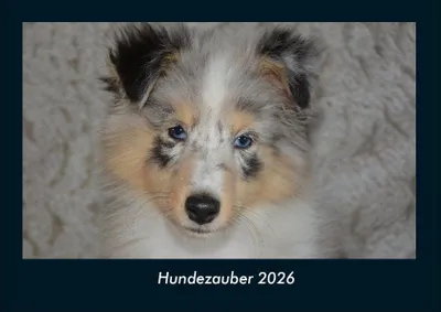 Produktbild von Hundezauber 2026 Fotokalender - Querformat DIN A4, Monatskalender mit Bild-Motiven von Haustieren, Bauernhof, wilden Tieren und Raubtieren