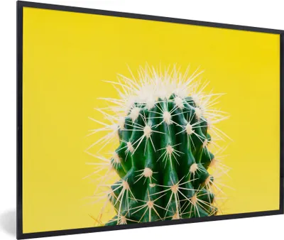 Produktbild von MuchoWow® MuchoWow® Gerahmtes Poster Kaktus auf gelb 90x60 cm - Poster mit zchwarzem Bilderrahmen - Fotorahmen - Foto-Plakat