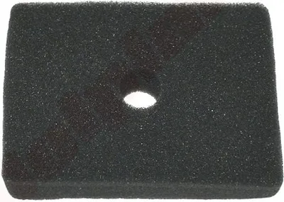 Obrázok produktu pre Filtr Pow. Honda Ed300 , Em500 , Em600 , Ex500 ( 17211-892-000 ) 100X75X20
