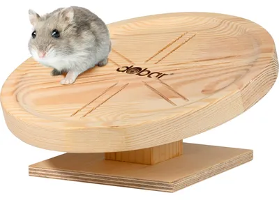 Produktbild von Laufteller Spidi aus Massivholz für Kleintiere, geräuscharmes Laufplateau für Ha