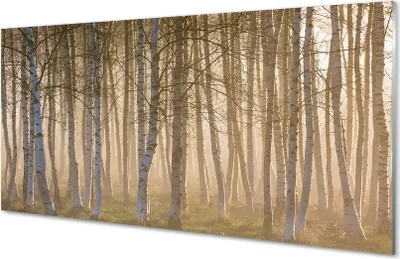 Produktbild von Spritzschutz 100x50 Wandkunst Sonnenaufgang Wald