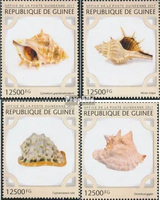 Produktbild von Briefmarken Guinea 2017 Mi 12166-12169 (kompl. Ausgabe) postfrisch Muscheln