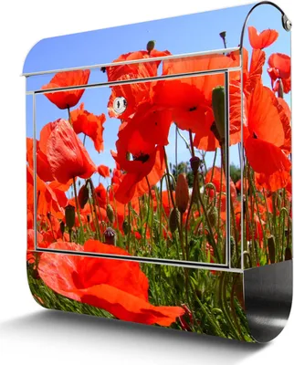 Zdjęcie produktu dla Skrzynka na listy ze stali nierdzewnej z miejscem na gazety Duża skrzynka na listy ze stali nierdzewnej Poppies, otwór A4 [BKGE2 10078]