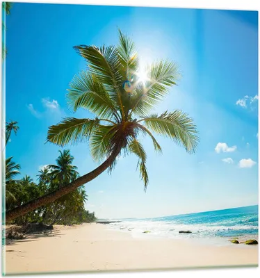 Produktbild von Bilder auf glas - Strand Palme Meer - 60x60cm - Glasbilder - Wandbilder - Kunstdruck - zum Aufhängen bereit - Wanddekoration aus Glas - Glas Bilder - Wandbild auf Glas - Einteilig - GAC60x60-3570